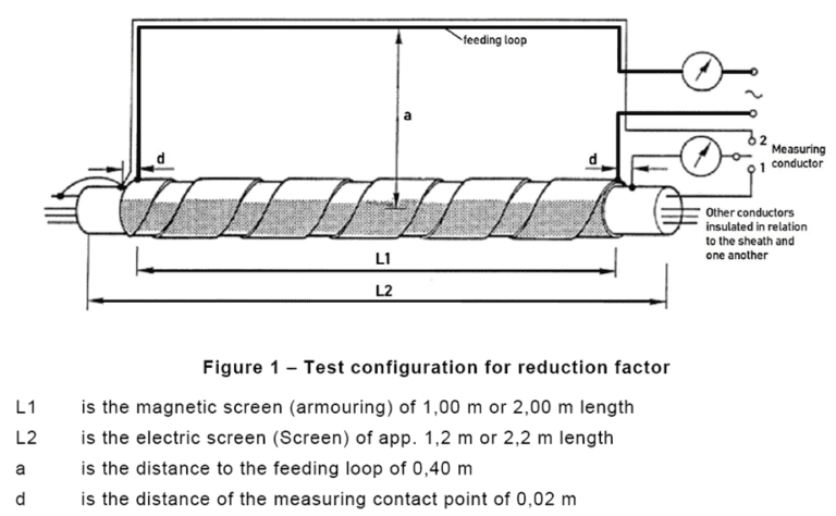 Image1